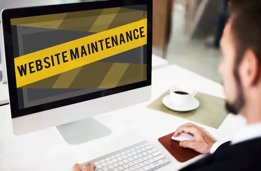 Ongoing Support and Maintenance v1